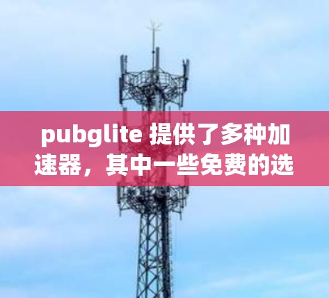 pubglite 提供了多种加速器，其中一些免费的选项非常有用。以下是几个推荐的免费加速器