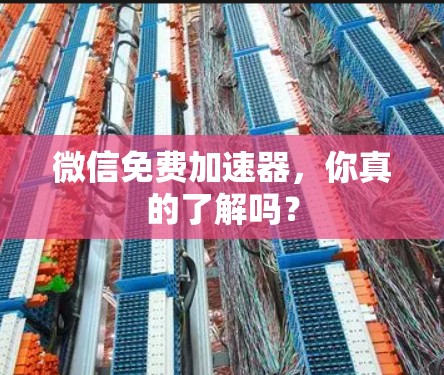 微信免费加速器,你真的了解吗? 微信免费加速器,你真的了解吗?