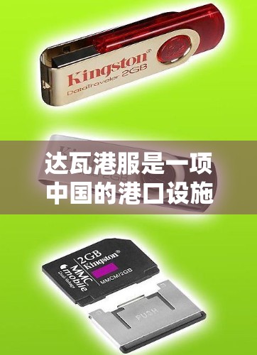 达瓦港服是一项中国的港口设施，主要涉及物流和贸易服务。免费加速器是一种技术，旨在提升不同环节的物流效率，减少延迟，降低成本。以下是关于达瓦港服免费加速器的详细分析