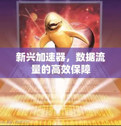 新兴加速器,数据流量的高效保障 新兴加速器,数据流量的高效保障