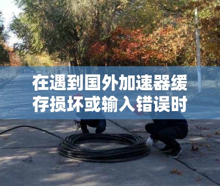 在遇到国外加速器缓存损坏或输入错误时，可以采取以下步骤来解决问题