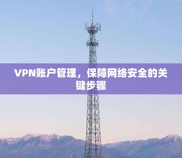 VPN账户管理，保障网络安全的关键步骤