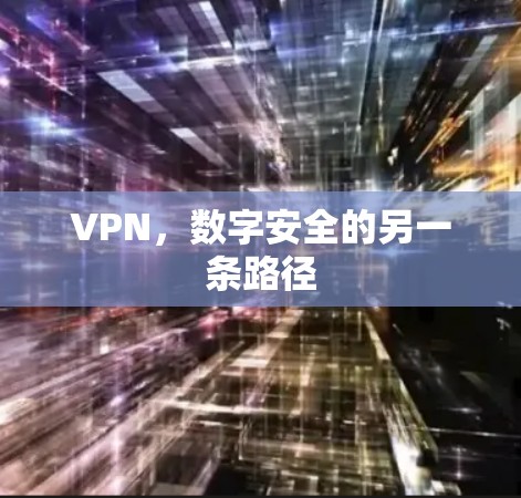VPN，数字安全的另一条路径