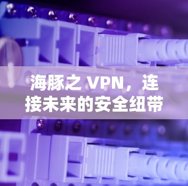 海豚之 VPN,连接未来的安全纽带 海豚之 VPN,连接未来的安全纽带