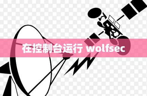 在控制台运行 wolfsec