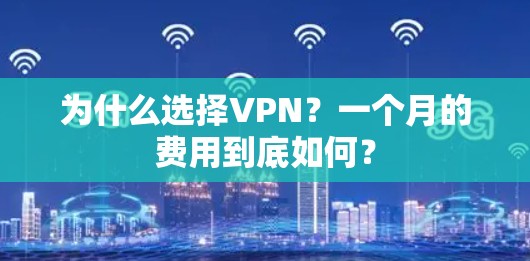 为什么选择VPN？一个月的费用到底如何？