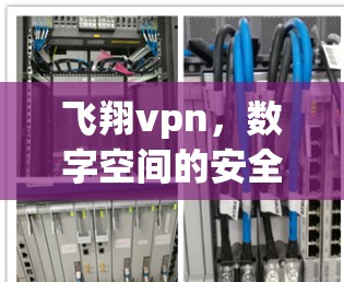 飞翔vpn,数字空间的安全密码 飞翔vpn,数字空间的安全密码