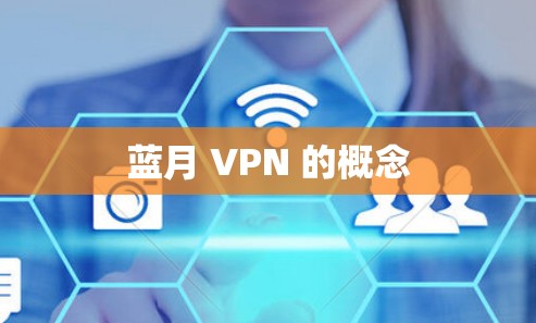 蓝月 VPN 的概念