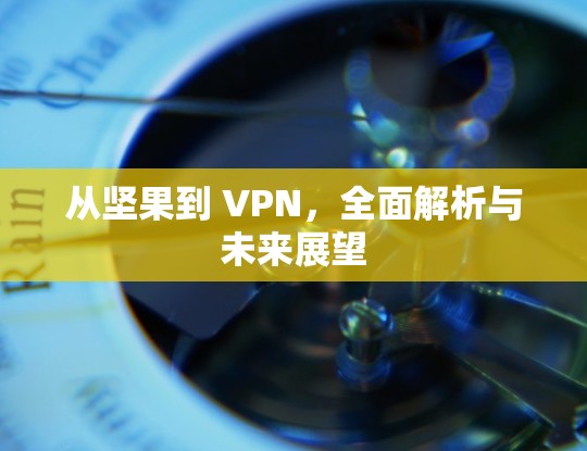 从坚果到 VPN,全面解析与未来展望 从坚果到 VPN,全面解析与未来展望