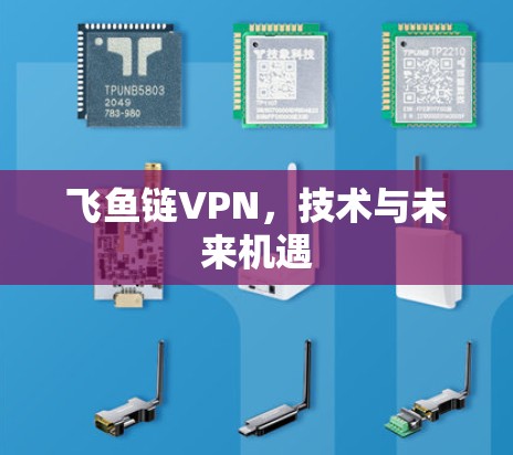 飞鱼链VPN，技术与未来机遇