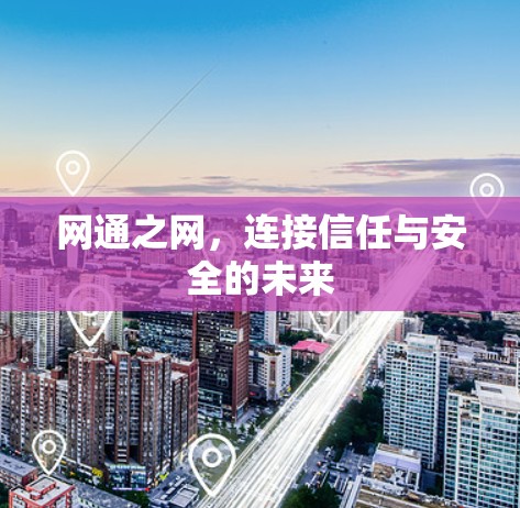 网通之网，连接信任与安全的未来