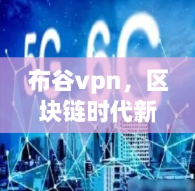 布谷vpn，区块链时代新宠