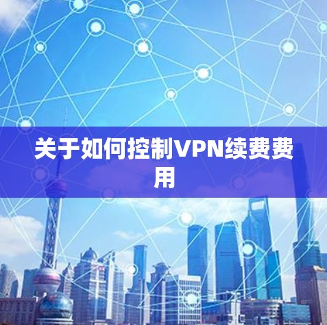 关于如何控制VPN续费费用