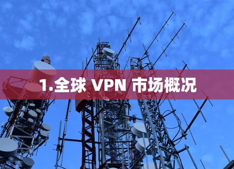 1.全球 VPN 市场概况