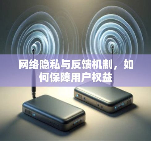 网络隐私与反馈机制，如何保障用户权益