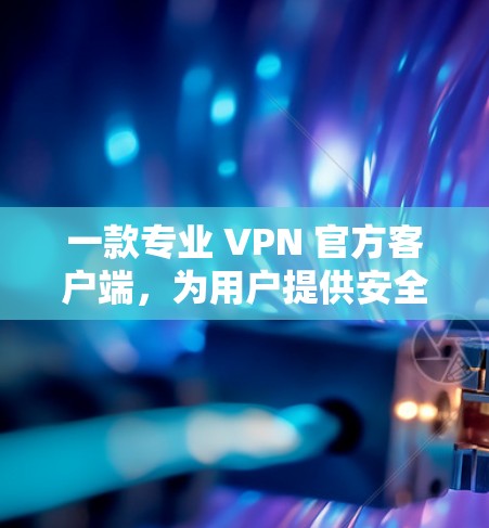 一款专业 VPN 官方客户端，为用户提供安全可靠的网络连接