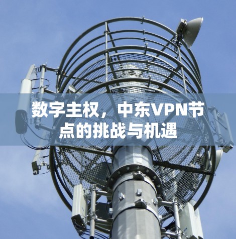 数字主权，中东VPN节点的挑战与机遇