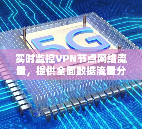 实时监控VPN节点网络流量，提供全面数据流量分析和实时监控服务