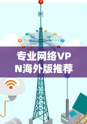 专业网络VPN海外版推荐
