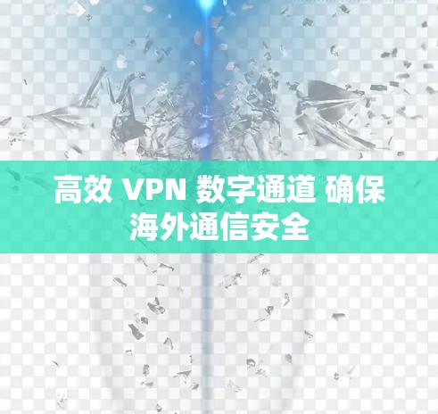 高效 VPN 数字通道 确保海外通信安全