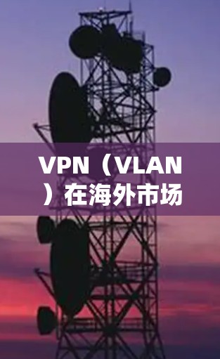 VPN（VLAN）在海外市场中的工具和应用非常广泛，用户可以根据自己的需求选择适合的VPN工具。以下是一些主要的VPN工具和工具类型，帮助用户扩展VPN服务