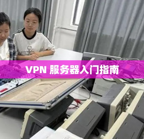 VPN 服务器入门指南