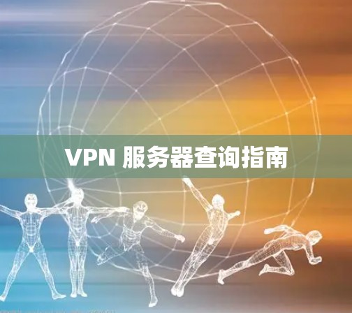 VPN 服务器查询指南