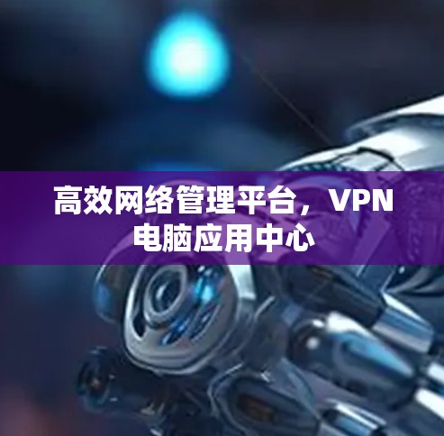 高效网络管理平台，VPN电脑应用中心