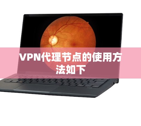 VPN代理节点的使用方法如下 VPN代理节点的使用方法如下