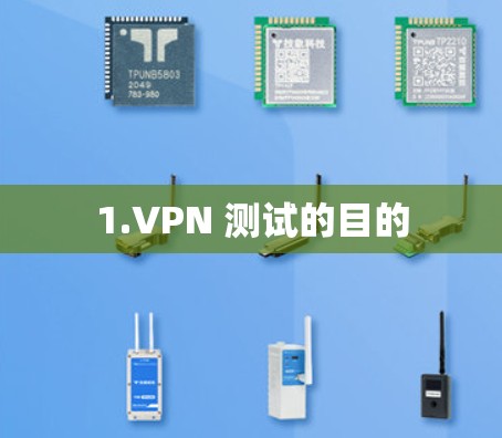 1.VPN 测试的目的