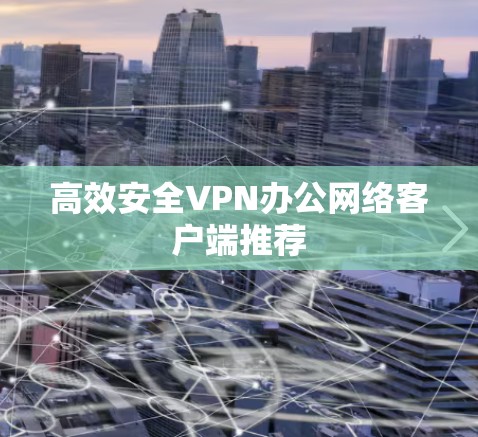 高效安全VPN办公网络客户端推荐