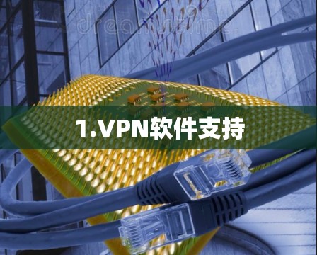 1.VPN软件支持