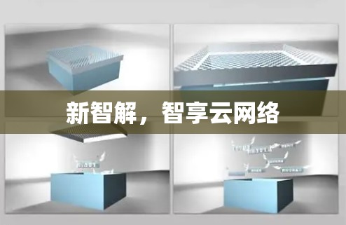 新智解，智享云网络