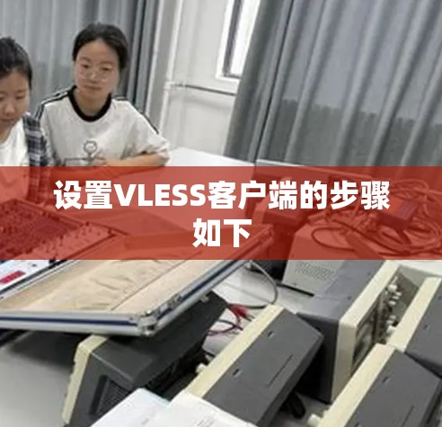设置VLESS客户端的步骤如下