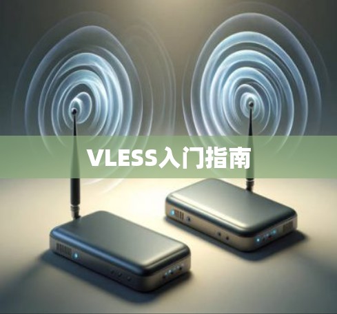 VLESS入门指南 VLESS入门指南