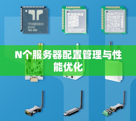 N个服务器配置管理与性能优化