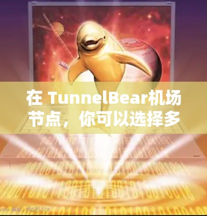 在 TunnelBear机场节点，你可以选择多个高速线路前往其他城市。以下是一些主要的高速线路推荐