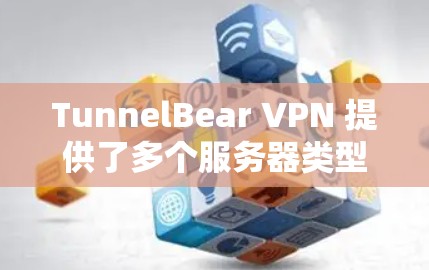 TunnelBear VPN 提供了多个服务器类型供用户选择，以下是服务器类型及其详细介绍