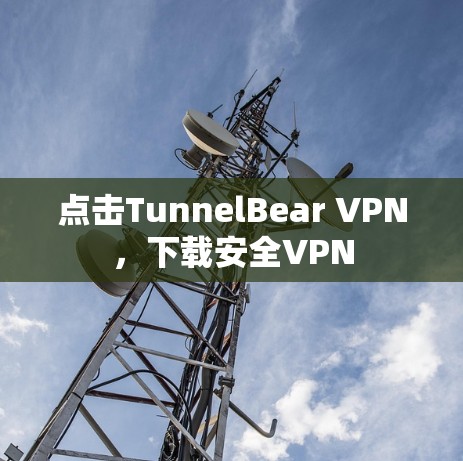 点击TunnelBear VPN，下载安全VPN