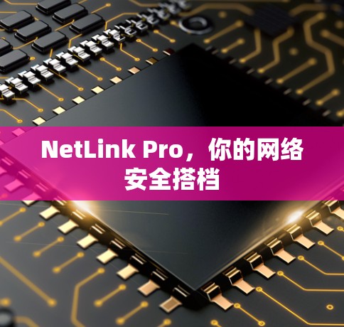 NetLink Pro，你的网络安全搭档