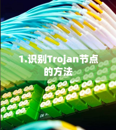 1.识别Trojan节点的方法