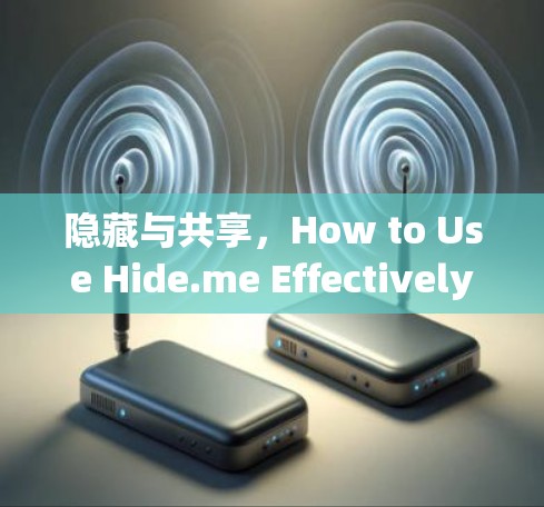 隐藏与共享，How to Use Hide.me Effectively