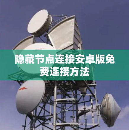 隐藏节点连接安卓版免费连接方法