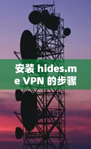 安装 hides.me VPN 的步骤如下