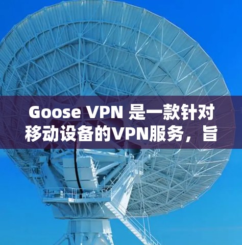 Goose VPN 是一款针对移动设备的VPN服务，旨在提供安全、高效和友好的网络连接体验。以下是Goose VPN 的体验评测
