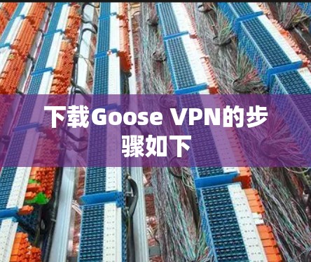 下载Goose VPN的步骤如下