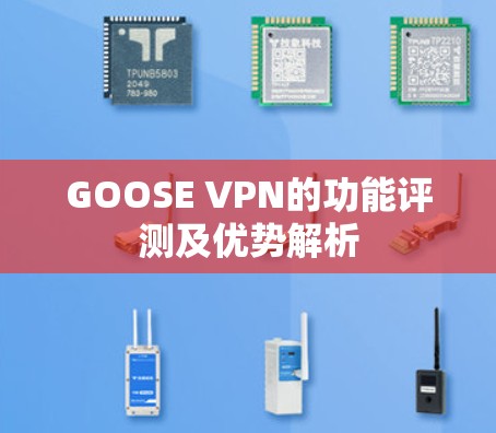 GOOSE VPN的功能评测及优势解析 GOOSE VPN的功能评测及优势解析