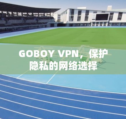 GOBOY VPN,保护隐私的网络选择 GOBOY VPN,保护隐私的网络选择