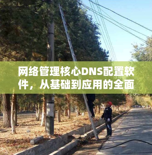 网络管理核心DNS配置软件，从基础到应用的全面解析