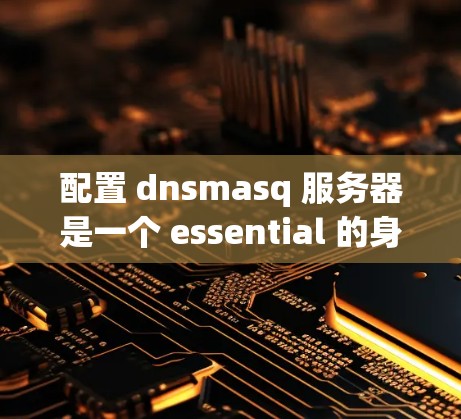 配置 dnsmasq 服务器是一个 essential 的身份验证协议，用于加密和签名，广泛应用于网页访问控制（VPC）和访问控制中心（CAC）以下是详细的步骤指南